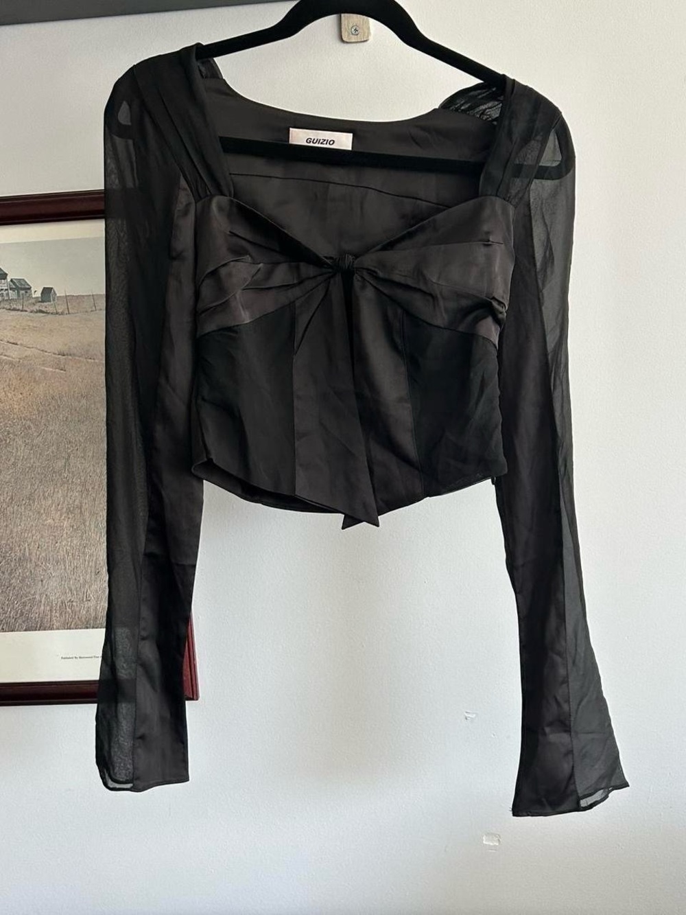 Guizio Black Sheer Long-Sleeve Bow Front Top